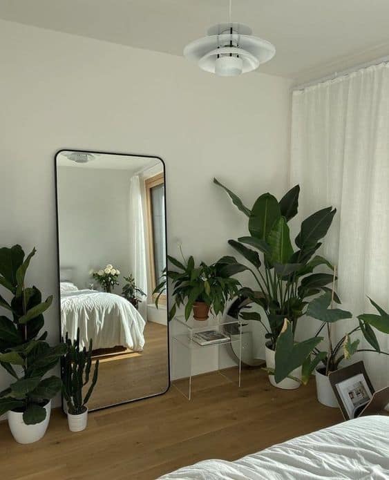 Plantes chambre - Pinterest